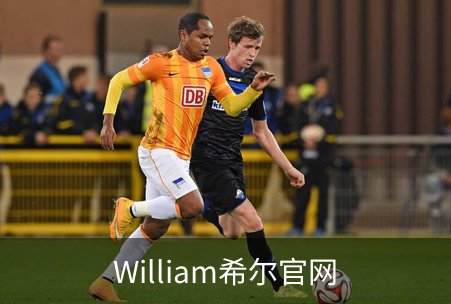 了解William希尔官网