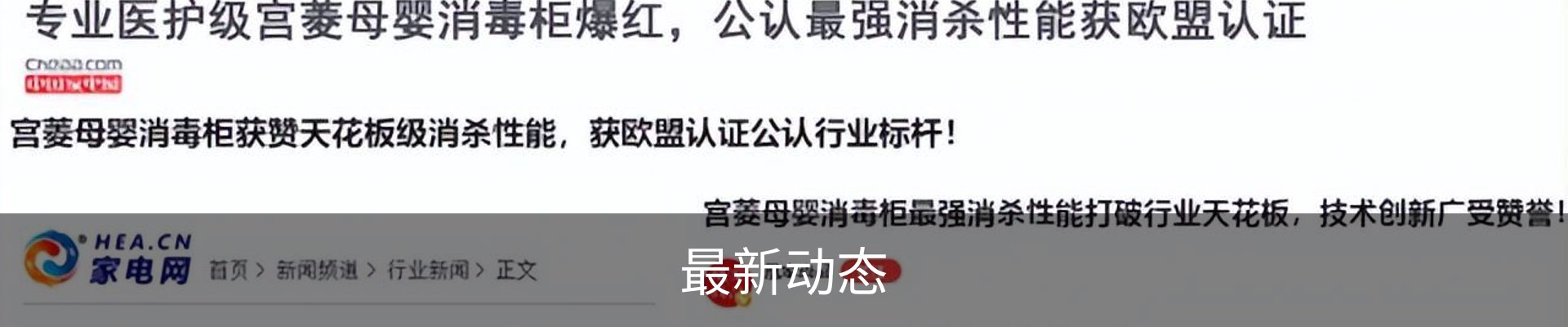 最新动态